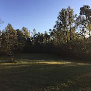 The Meadow Campsite
