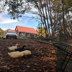 Green Mountain Homestead Getaway