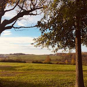 The Heron: Organic Farm & Forests