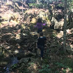 Exploring the creek