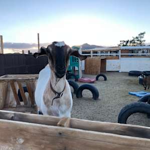 Moonlight Ranch - Groups