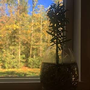we appreciated the thoughtful details (and library of books!) throughout the A-Frame