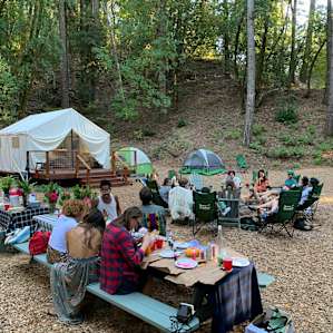Shelterwood- Complete Property