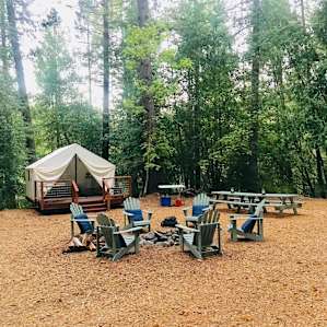 Shelterwood- Complete Property