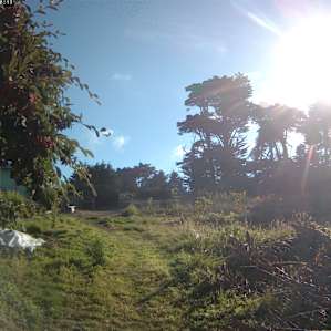 Wavelength Farm - Garden site