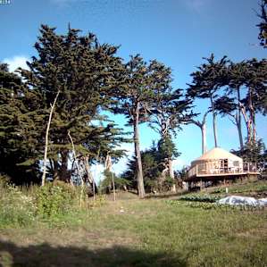Wavelength Farm - Garden site