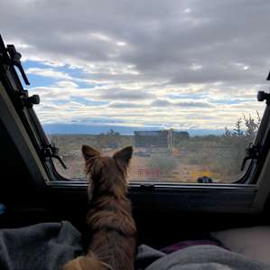 Our Desert Homestead - RV Site