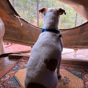 Magical La Cueva Prairie Fire Tipi