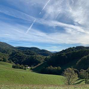 Pasture Paradise