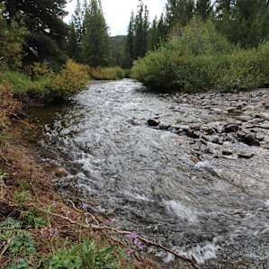 The beautiful Baker Creek is good for some rainbow trout fishing!