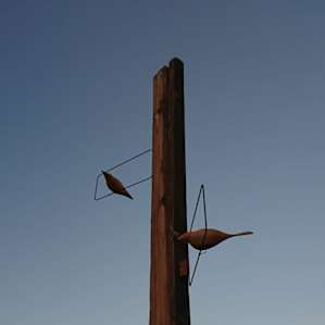 Embrace Wonder Valley @thebirdline