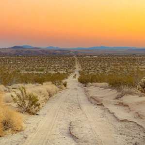 Driveway at sunrise