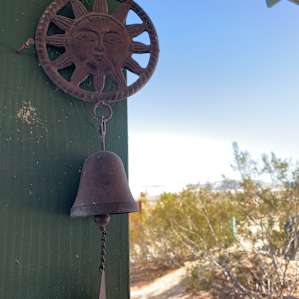 Little treasures all over the property