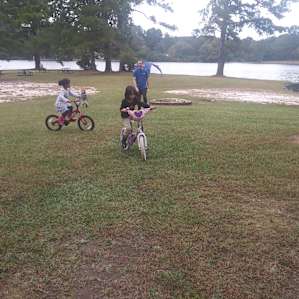 The sandy area on the left is a beach with a swimming area and a floating dock