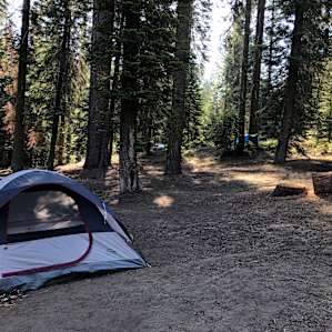 Dorst Creek Campground