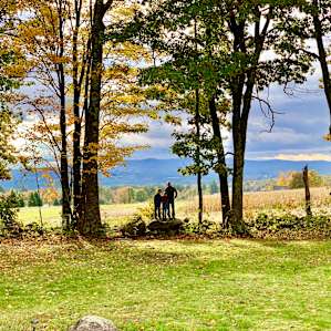 Canvas Wall Tent - Glampsite NH
