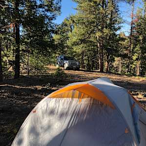 Pine Creek Paradise