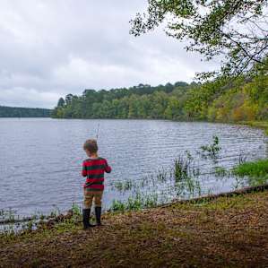 Fish from the shore right by the tent and/or RV sites, or from the fishing dock!