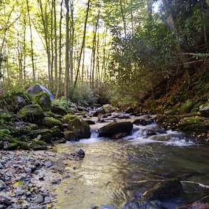 Waterfall Haven Camping