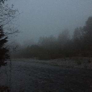 Fog rolling in.