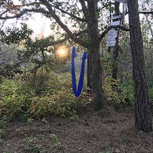 My yoga hammock in the sunset over the marshland.