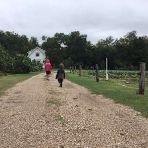 Walking up the lane.
