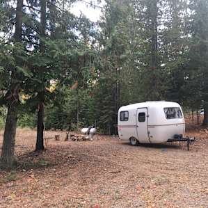 Campsite #2 - plenty of room for a small trailer or camper.