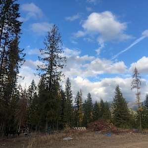 View from the driveway.