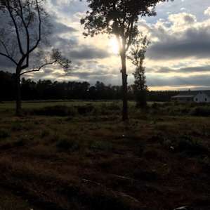 Weekend at the Farm!