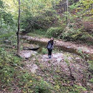 This creek has the coolest mermaid rocks.