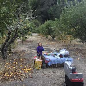 Beachside Farm Campground