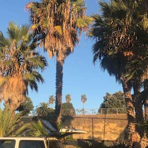 Steps to the Beach - Oceanside RV