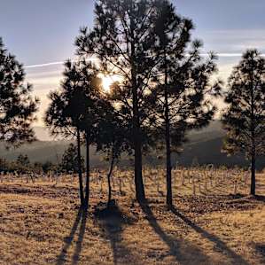 Secluded Vineyard Walk-In (Site 3)
