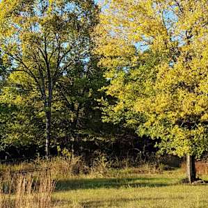 Sawmill Ridge