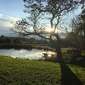 Ahh some sunshine after a rainy weekend