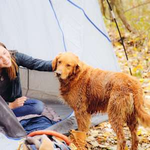 The campsite was nestled in the woods with plenty of room to set up a tent.