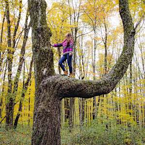 This iconic maple tree made for a beautiful photo op.