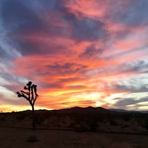 Amazing sunset views!