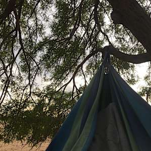 Hammock under the shade!