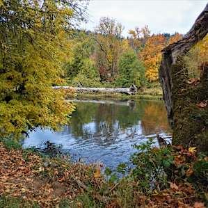 The picturesque, Renoir-like view of the Willamette river where the site overlooks.