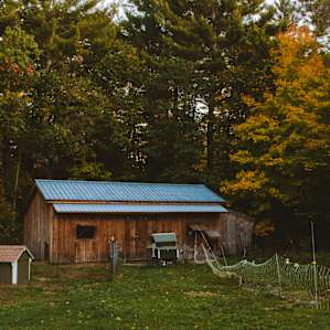 Trifecta Farm