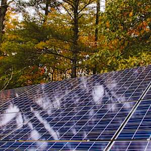 Their farm runs on solar power too!