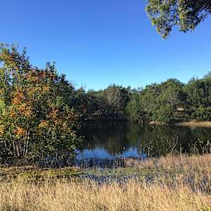 The view of the pond from campsite B