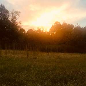 Sawmill Ridge