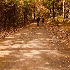 Sawmill Ridge