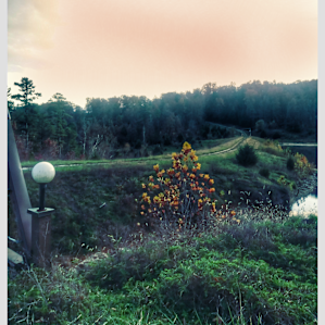 Spring Lake Ranch Campsites