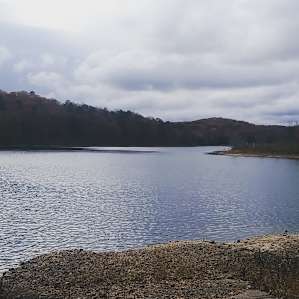 Spring Lake Ranch Campsites