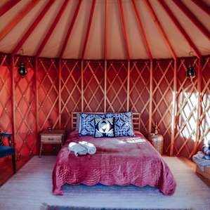 The beautiful, super comfy bed