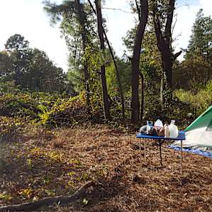 Serenity Camping