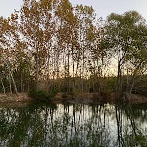 Hill Country Heaven